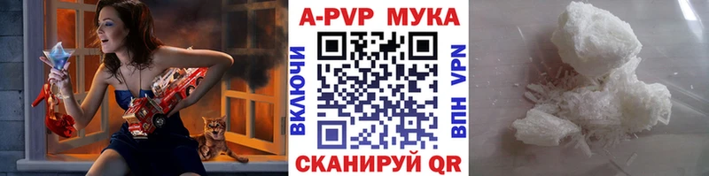 A PVP СК КРИС  Шуя 