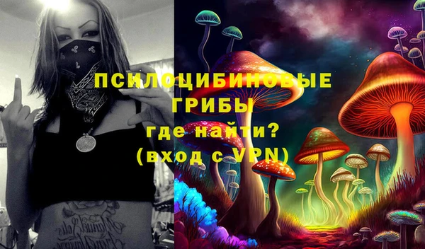 соль ск Белокуриха
