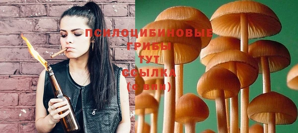 соль ск Белокуриха